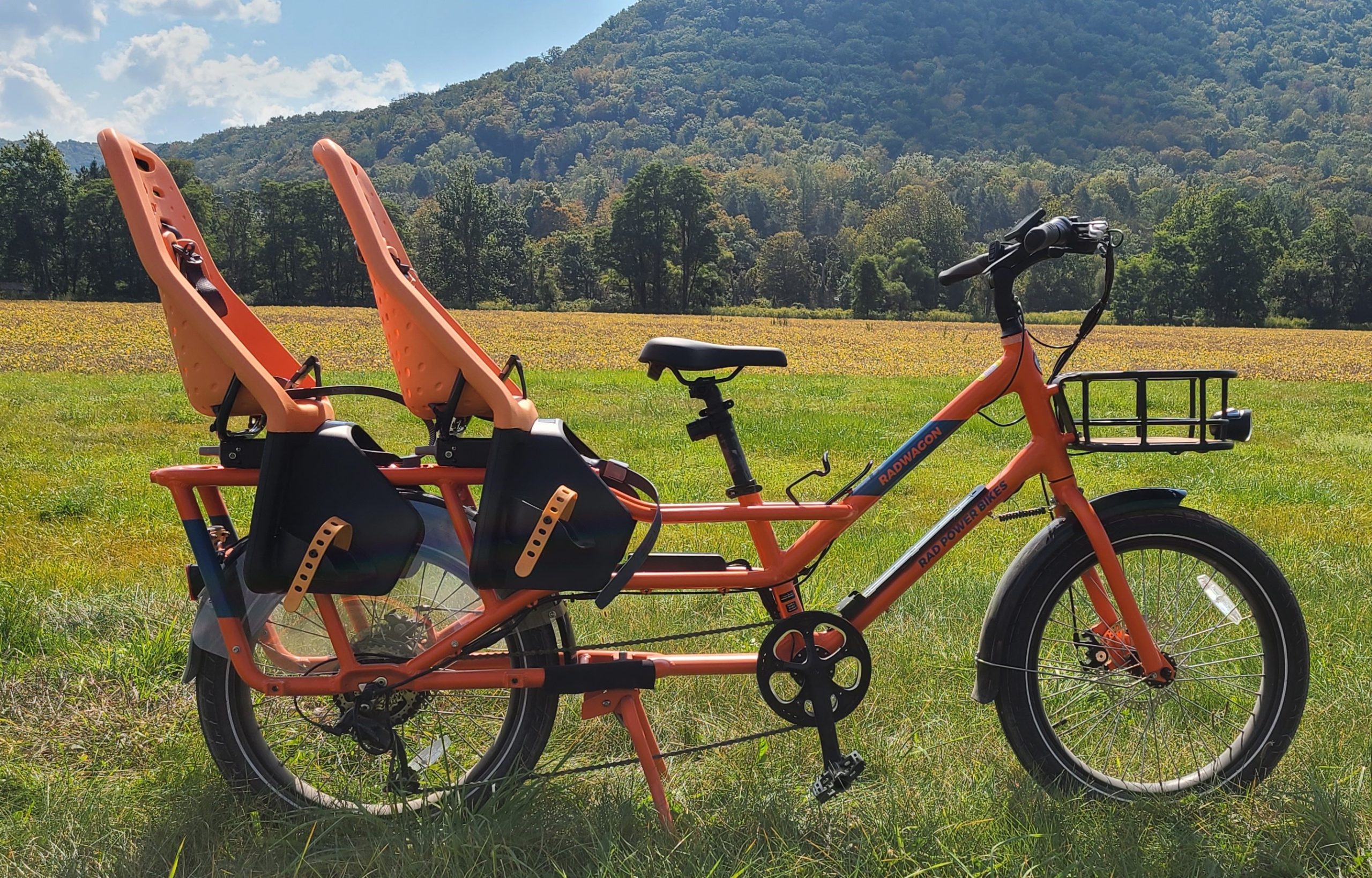 RadWagon e-bike with double or two thule yepp maxi child seats passenger package installed